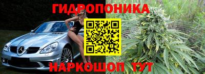 гашик Дубна