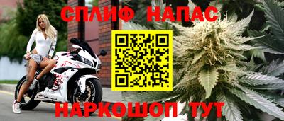 мдпв Донской