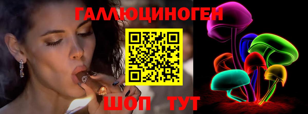 Галлюциногенные грибы Psilocybe  Псилоцибиновые грибы Psilocybine cubensis  Вход с VPN  Муравленко 